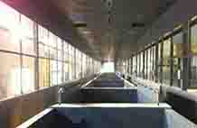 5、前处理、电泳线防腐