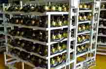 <b>3、电机转运料架</b>